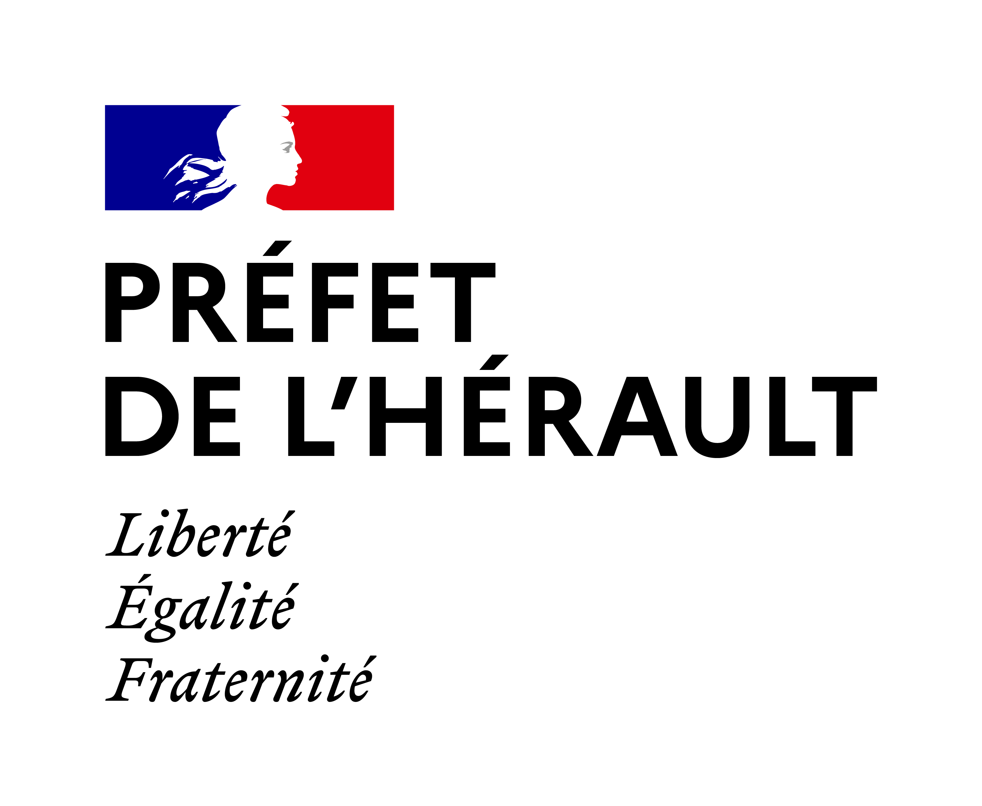 Image Préfet de l'Hérault