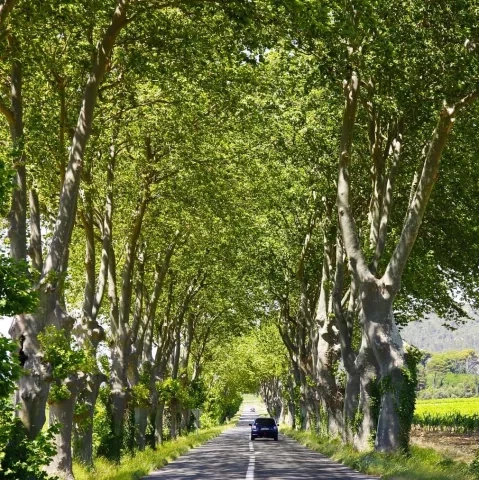 route occitanie
